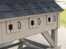 Exterior Doors To Nesting Boxes on 4x6 Mini Chicken Condo crafted at Pine Creek Structures of Spring Glen